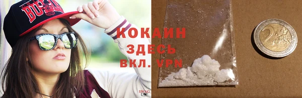 твердый Алексеевка